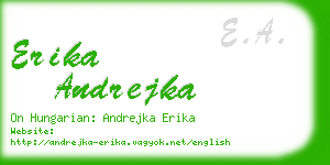 erika andrejka business card